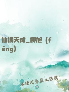 仙偶天成