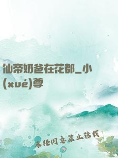仙帝奶爸在花都