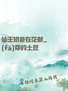 仙王奶爸在花都