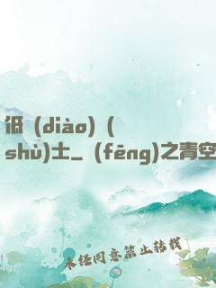 低調(diào)術(shù)士
