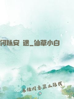 何以安歸途