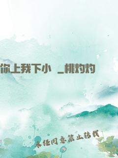 你上我下小說