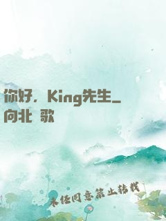 你好，King先生