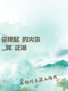 你撩起來的火你負責滅