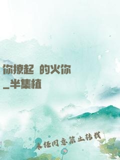 你撩起來的火你負責滅
