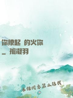 你撩起來的火你負責滅