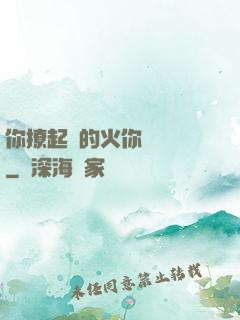 你撩起來的火你負責滅