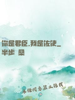 你是君臣,我是佐使