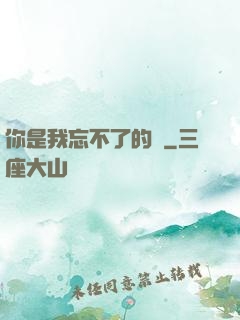 你是我忘不了的愛