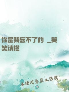 你是我忘不了的愛