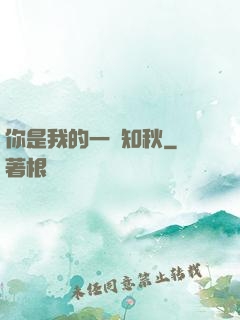 你是我的一葉知秋
