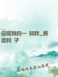 你是我的一葉知秋