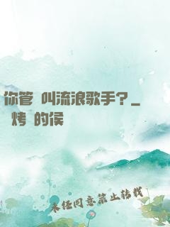 你管這叫流浪歌手？