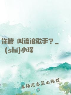你管這叫流浪歌手？