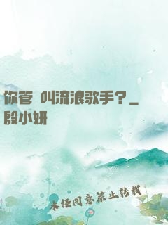 你管這叫流浪歌手？