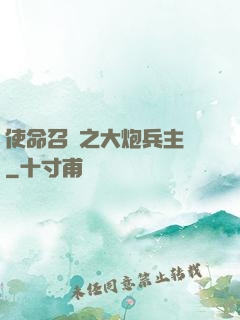 使命召喚之大炮兵主義
