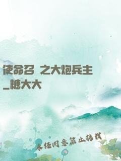 使命召喚之大炮兵主義