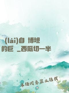 來(lái)自賽博坦的巨龍