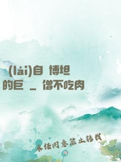 來(lái)自賽博坦的巨龍