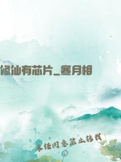修仙有芯片