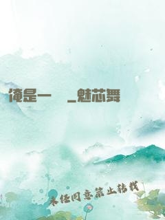 俺是一個賊