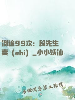 倒追99次：段先生寵妻實(shí)錄