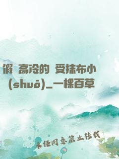 假裝高冷的騷受抹布小說(shuō)
