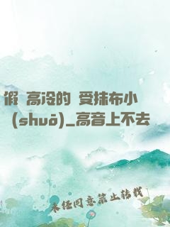 假裝高冷的騷受抹布小說(shuō)