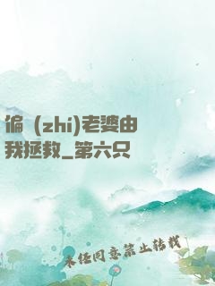 偏執(zhí)老婆由我拯救