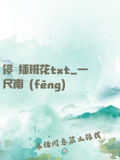 停電插班花txt