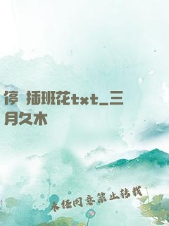 停電插班花txt
