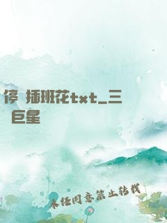 停電插班花txt