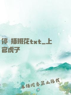 停電插班花txt