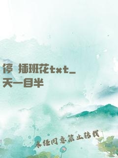 停電插班花txt