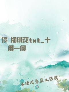 停電插班花txt