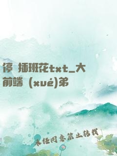 停電插班花txt