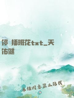 停電插班花txt