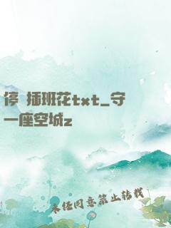 停電插班花txt