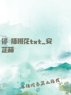停電插班花txt
