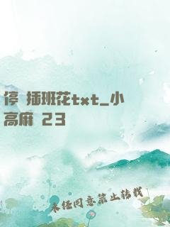 停電插班花txt