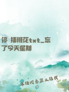 停電插班花txt