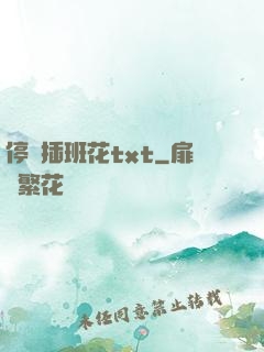 停電插班花txt