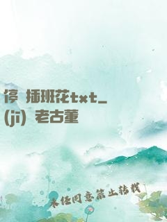 停電插班花txt