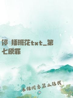 停電插班花txt