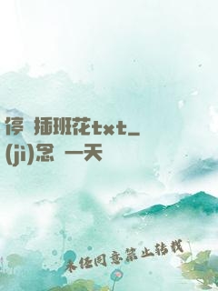 停電插班花txt