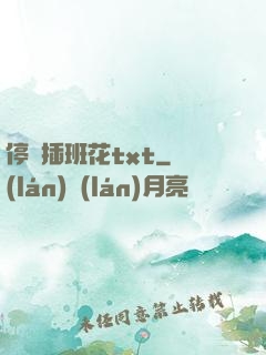 停電插班花txt