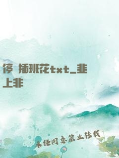 停電插班花txt