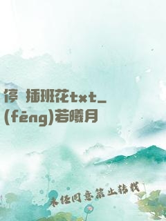 停電插班花txt