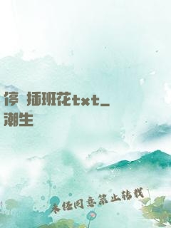 停電插班花txt