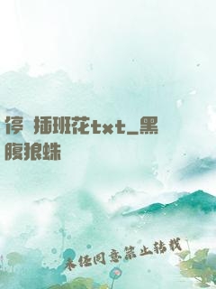 停電插班花txt
